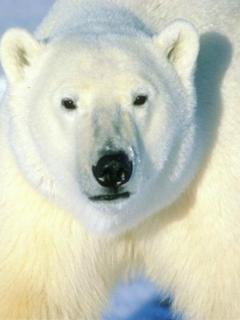 Other Wallpapers 0713